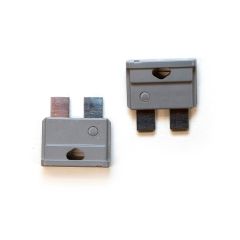 2 Amp Fuses